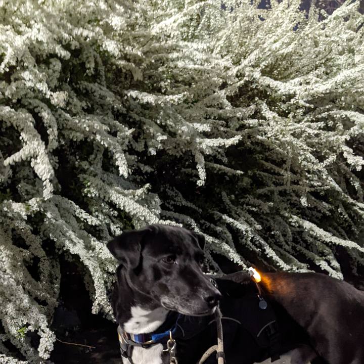 4842122a 5dcb 4446 ae96 848730d8b9bc 1648378967942