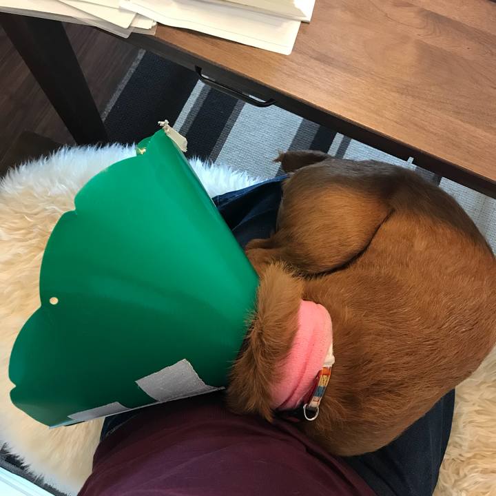 484218f2 cf43 43a3 a0fb 3e3ff150e6a6 1526881529268