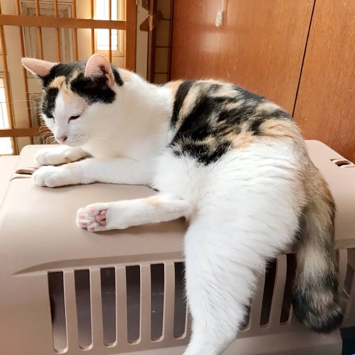 48424ed5 8b63 4824 85f2 7402aaf08c24 1536716290714