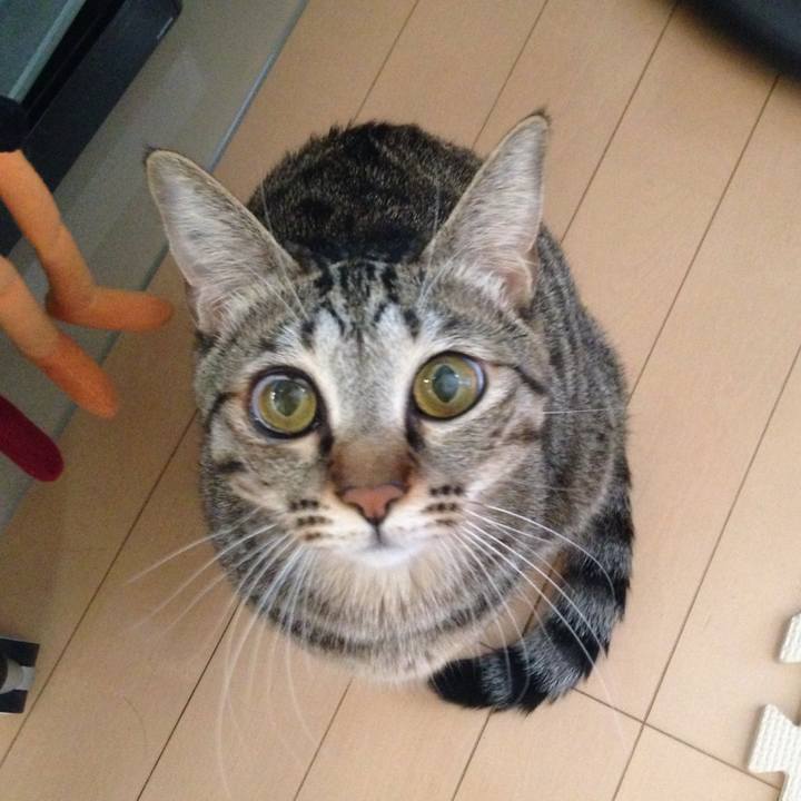 48425b71 f080 4a82 a366 5dbba26483aa 1509324642364