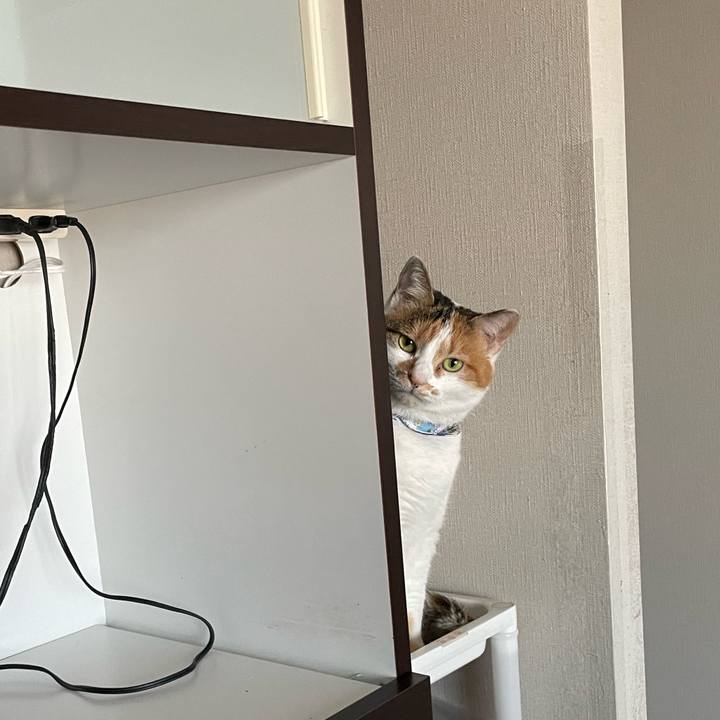 484289c5 a713 4d48 aa39 9618889f81e2 1706484983201