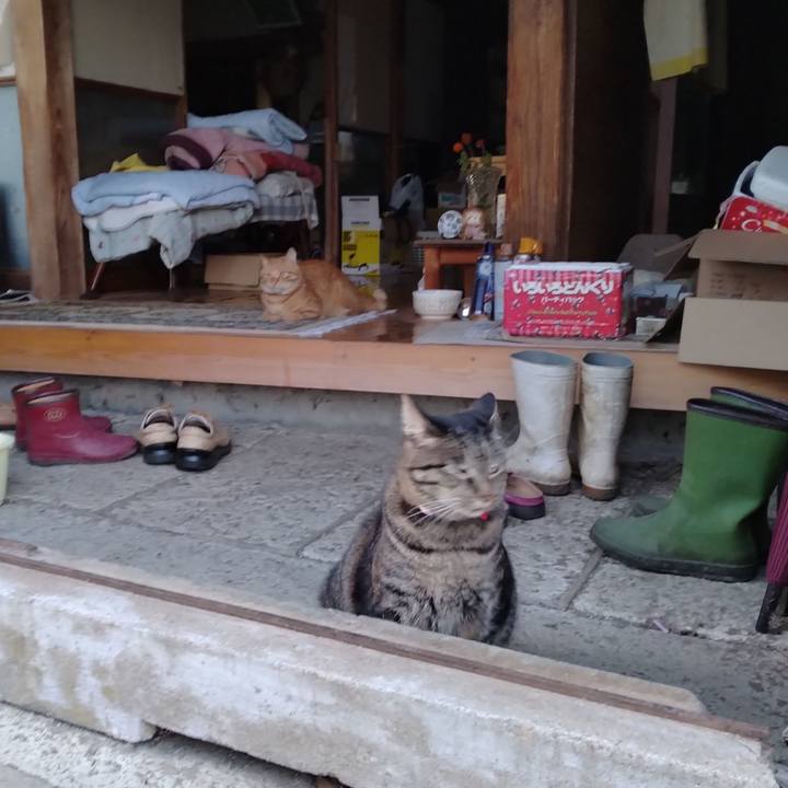 48428e2b 9592 4f46 8d6d a7b0953b6717 1664181408979