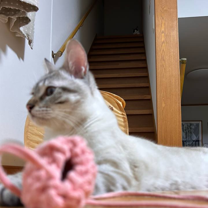 4842b498 b1cd 4b1e 9f64 a3f19373204a 1753279395890