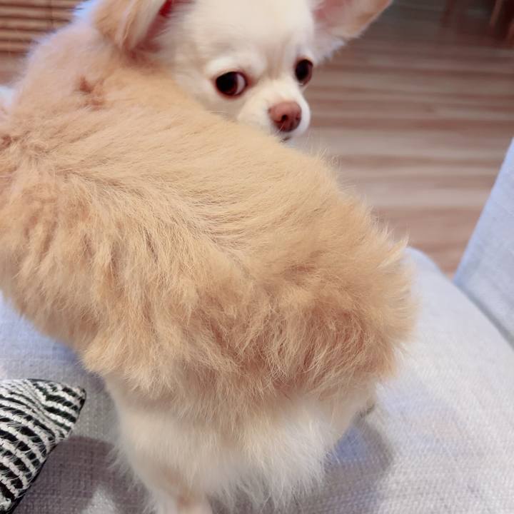 4842e959 7526 45c9 8420 6635b2485122 1690372148861