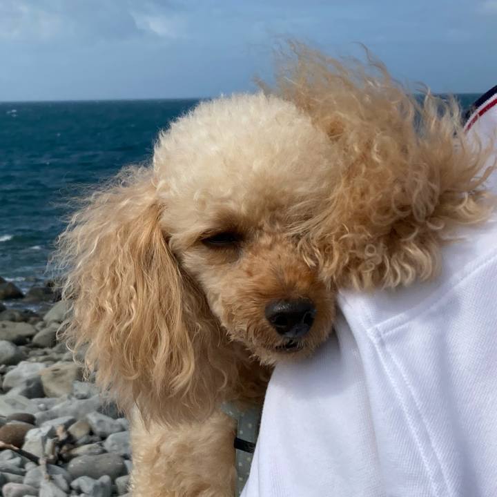 4842fd94 35ad 4243 bc0a 26c6ef3f83ed 1626255206206