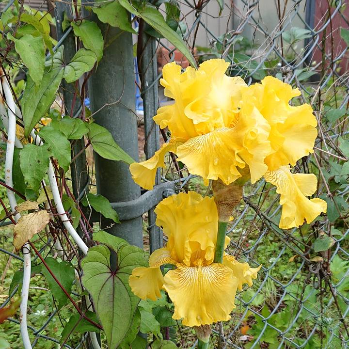 48430a2c e74a 4e4a a821 ca60da5ba115 1652327002755