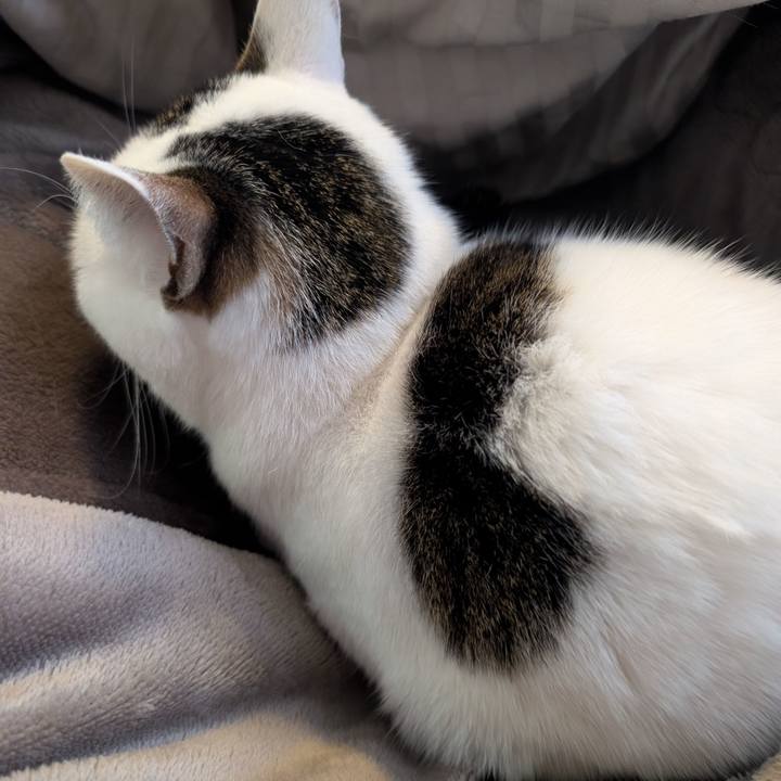 4843487d 50ac 470e ae5f fe3d820f31c7 1770512132742