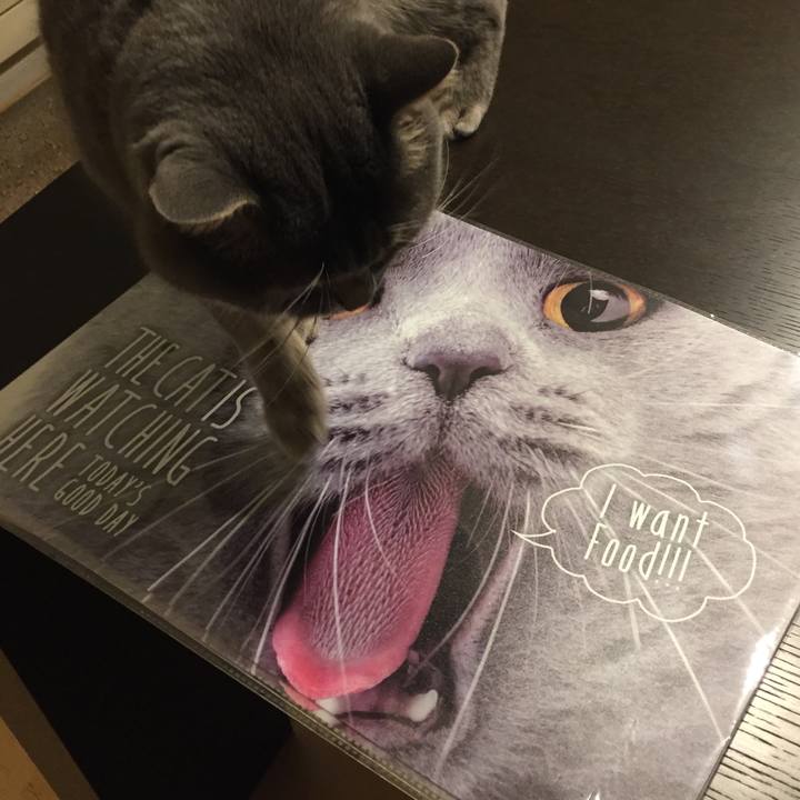 48434ce8 a056 4a42 8930 52eaec96f609 1518434677737