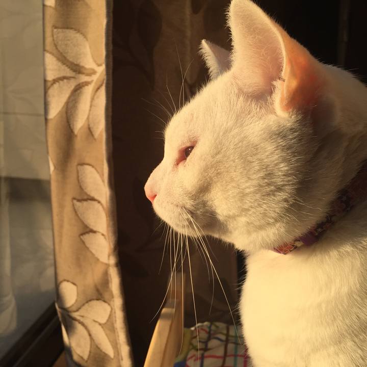 48436102 14cf 4afc 9ad5 3ef5224f3f65 1547159917944