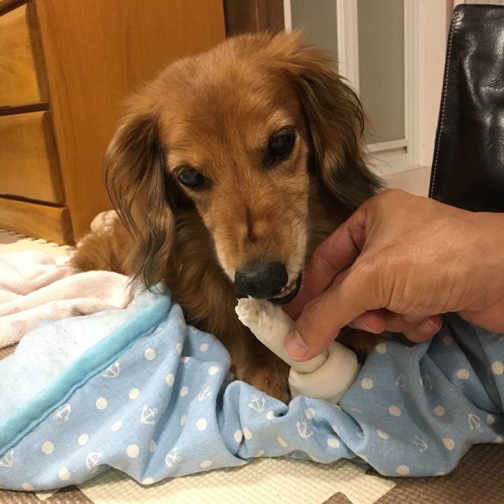 484379bd f149 422e 9643 c9791f9e2ff1 1562682213744