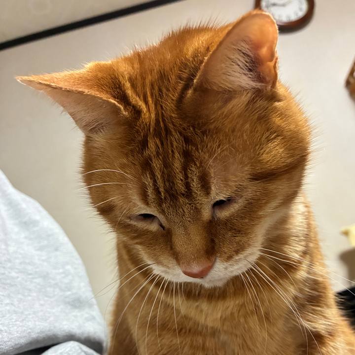 4843c03e 13b0 4cd9 b997 053b0b5bbbd5 1743427324584