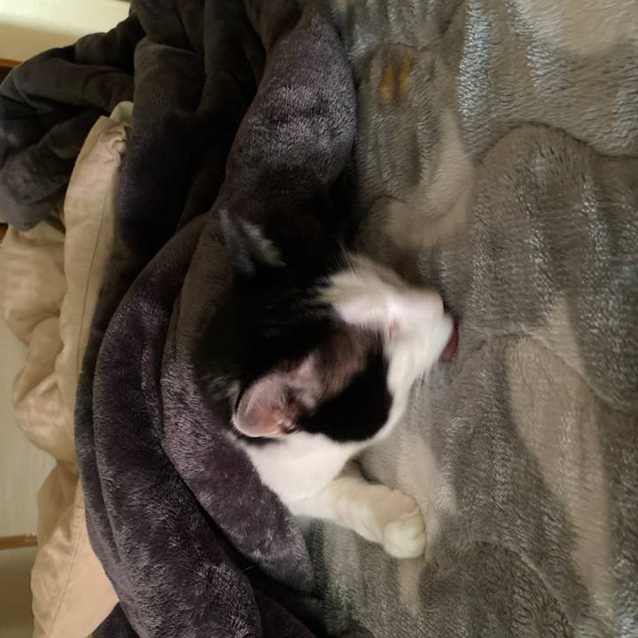 4843c177 fb55 4732 9d90 764c186f71ea 1677538031303