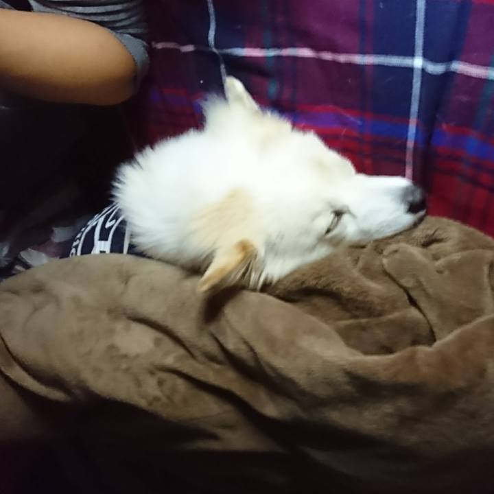 4843d736 9ba9 4386 9ddd 6566e27b53a7 1508080273911