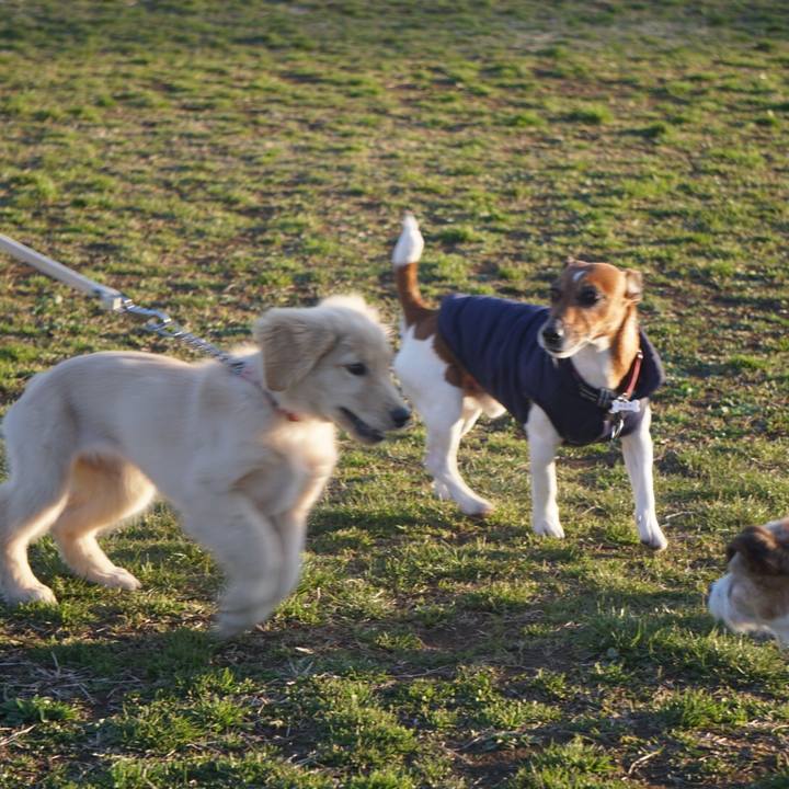 4843ec56 0f5d 4bb8 8bd5 f0f00bf7827c 1583451996598