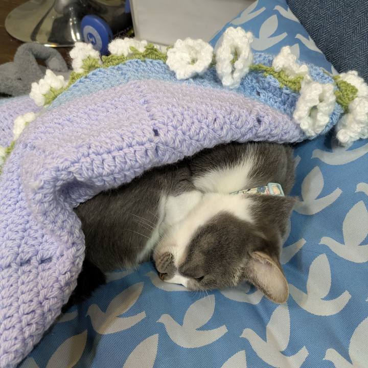 4843ed09 705b 4524 b864 1d69deb12cc8 1764166247298