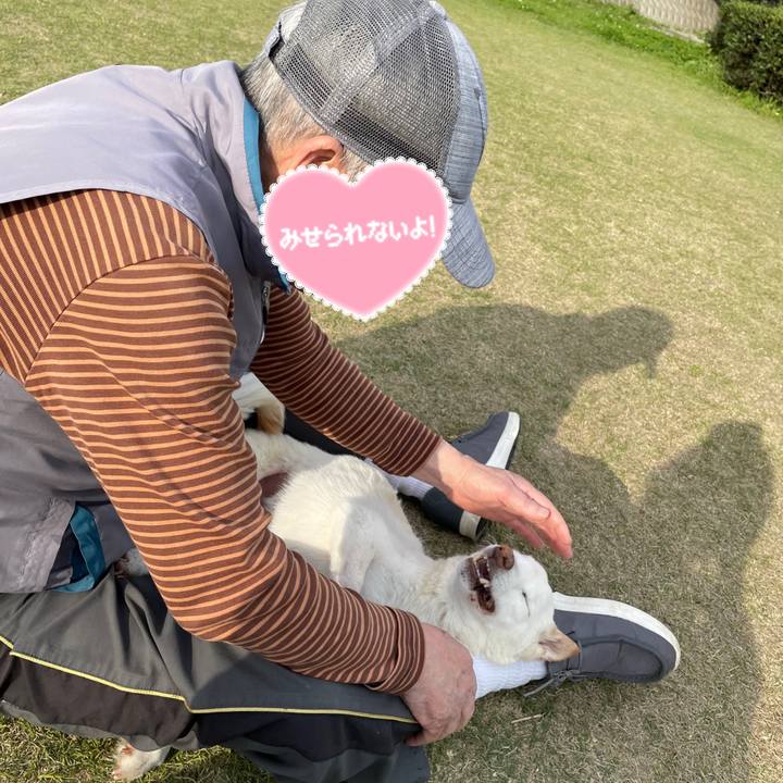 48440d00 dcd5 4f6e bced 6f05bec975c7 1680605276838