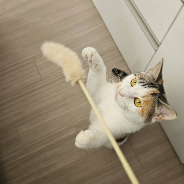 48442e64 9298 4920 933f 2751e694bf5f 1772241871149