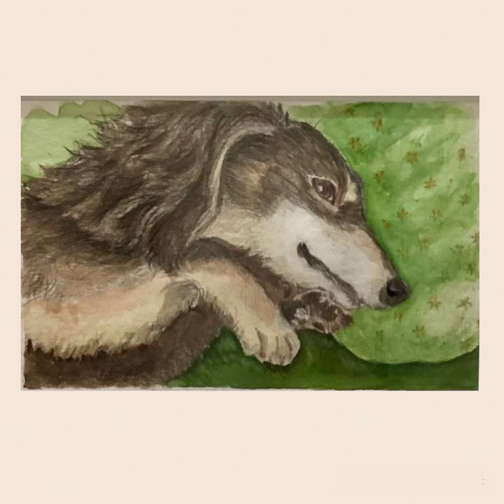 48445c17 c34d 4532 bfc1 a1c3eed89951 1705365651581