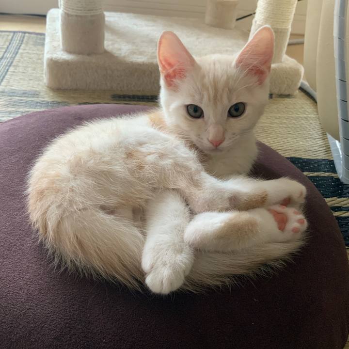 48447a8d 1427 4127 94ad 3e3b3f6ab79c 1625812396818