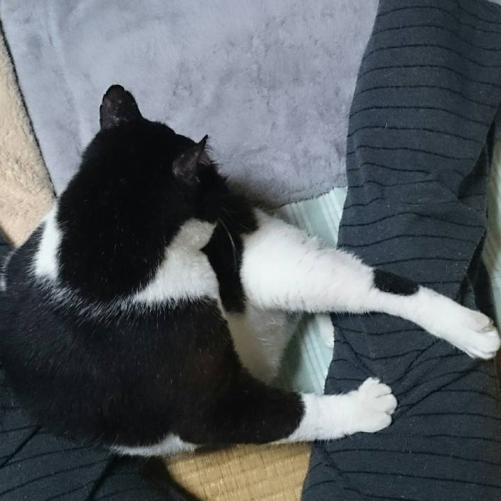 4844afcc b11f 42d8 bd10 61f37cdbe5b9 1508661101969