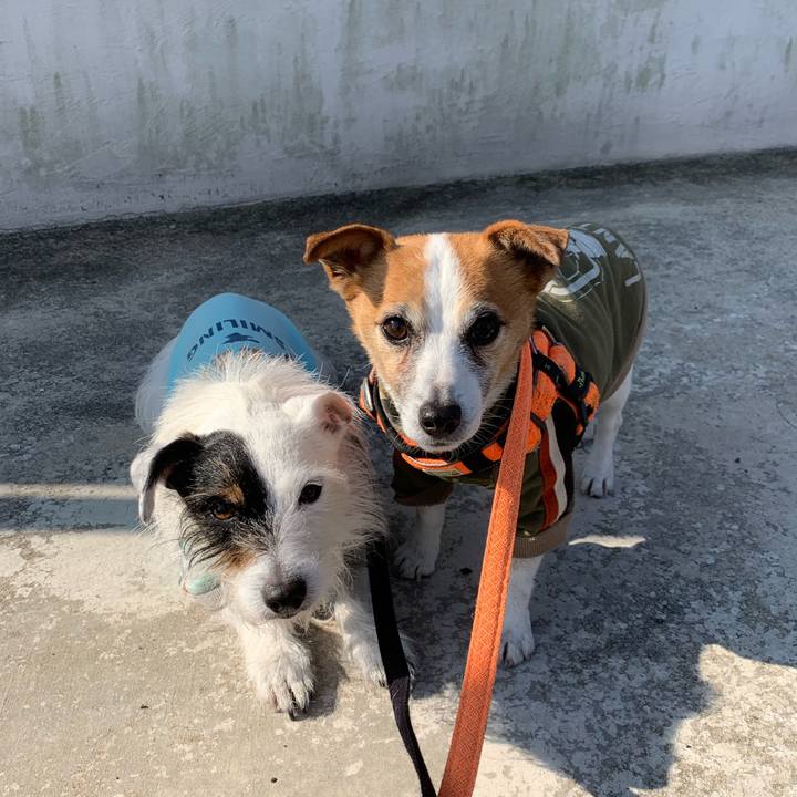 4844c9da 9103 4a82 90cc 9341edafd03e 1645922161859