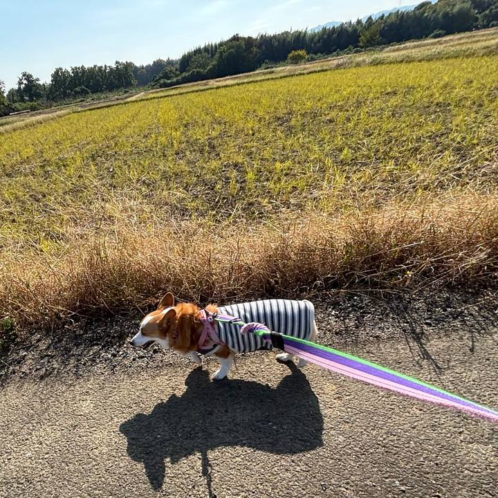 4844d95e 3a2b 4d7f 98c8 6ed6ca332d77 1762583560941