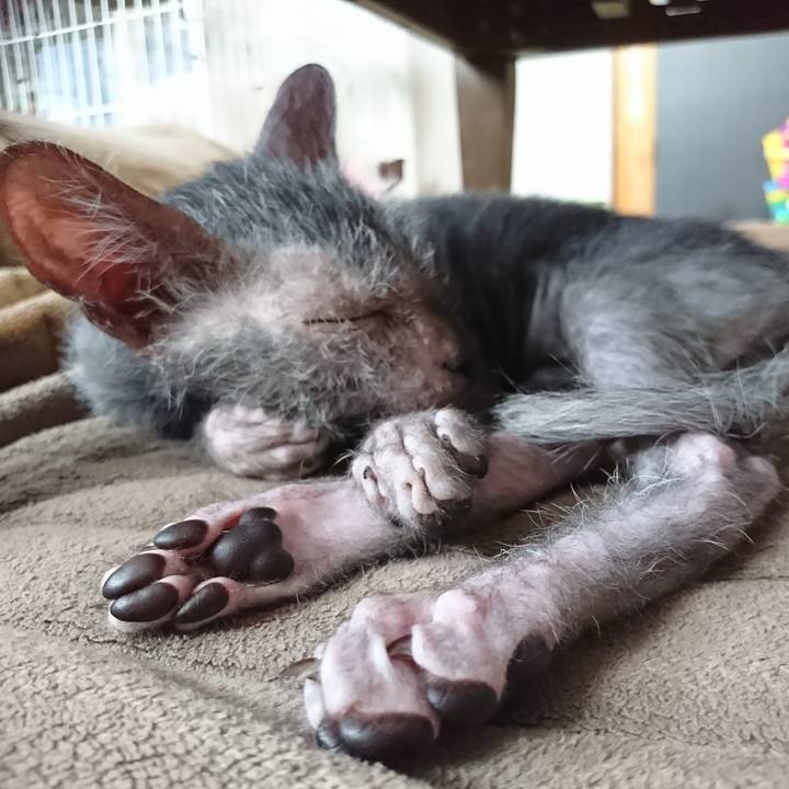 4844db4c 4308 4c46 856e e3ed97de9879 1516925593937