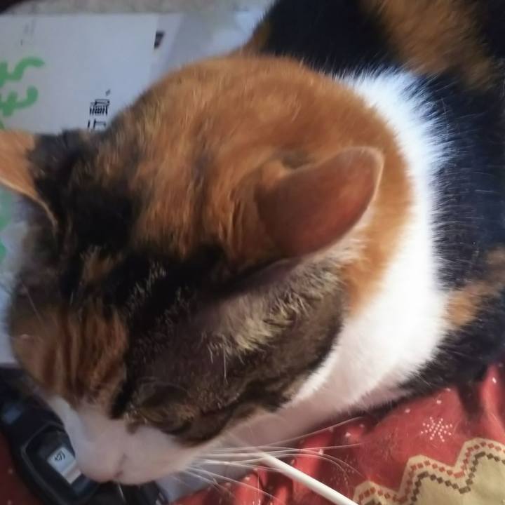 4844e246 fd76 4865 9153 42b672ba7d75 1560718502257