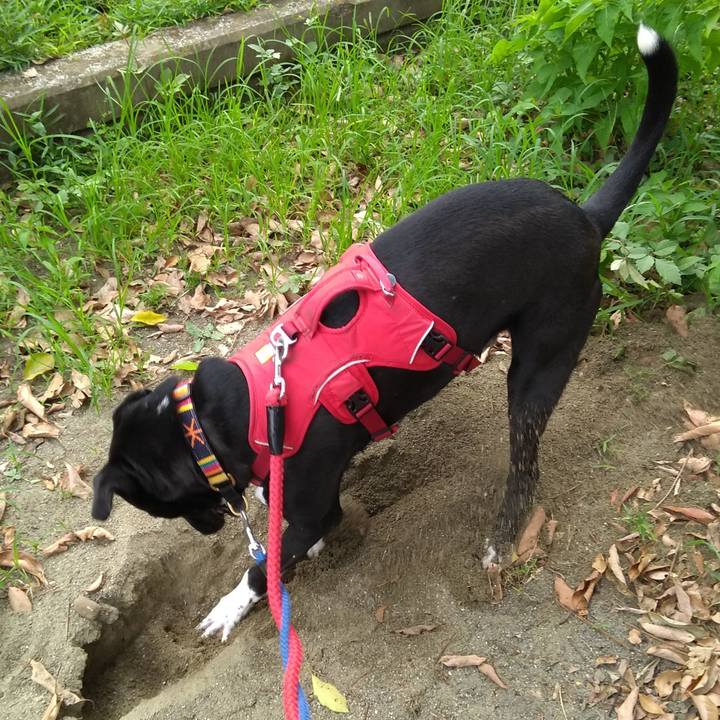 4844f6c2 af70 4e43 9fc0 e2da880e7e09 1598139010187