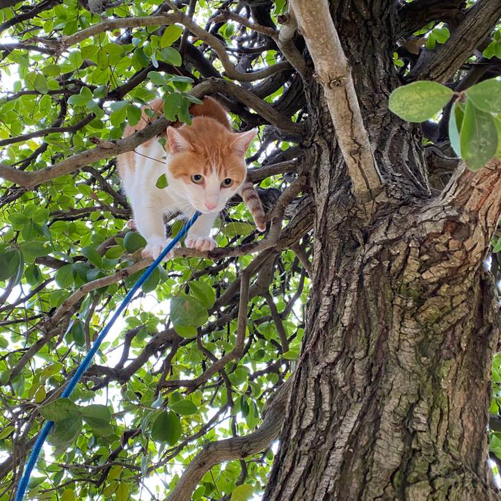 4844fd57 ede7 419f a2b0 2d9f3f209510 1583629507850