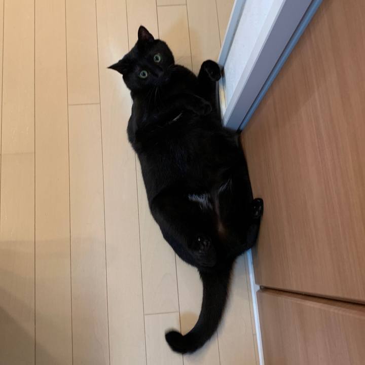 4845512d bae7 458d a17f d843aa763e74 1569397225479