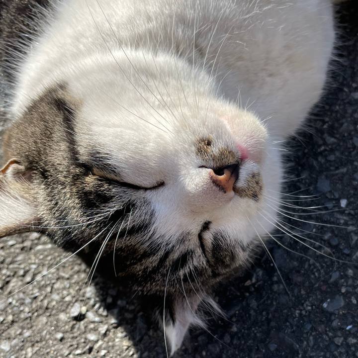 484551e9 a441 45d2 b026 4cf9848ef731 1641102356862