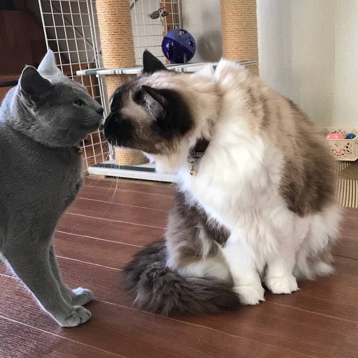 48456d64 927e 4851 899b 8c700b6b2c20 1518965319759