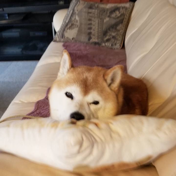 48459d04 96fc 41c0 9b12 f5cb12b66bf6 1668731463864