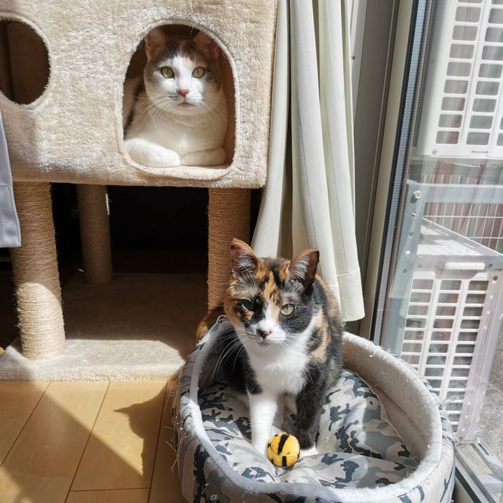 484617a2 ee85 4d11 9a53 6af447354951 1648441338835