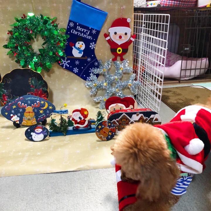 4846244b 35dc 4555 b71c bc5ed42ffe17 1608092016960