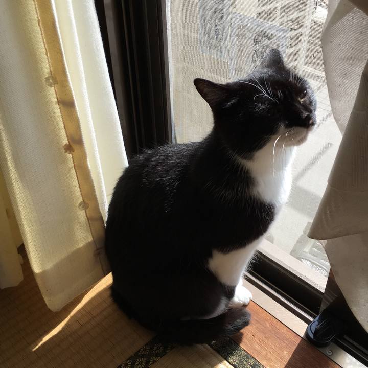 48462937 efae 4594 ad88 8d99c74430ab 1582094437529