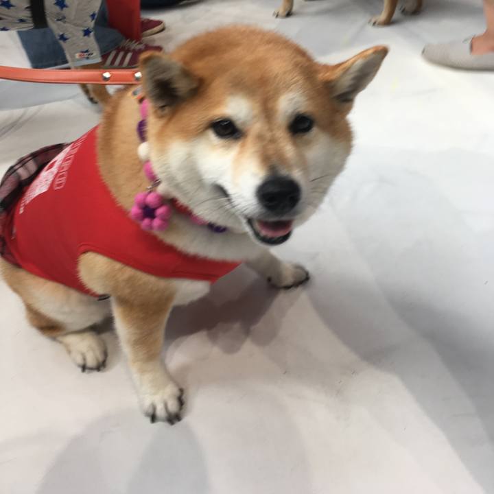 48464653 2709 4ea6 954b 5dd3f76e06b3 1566623716667