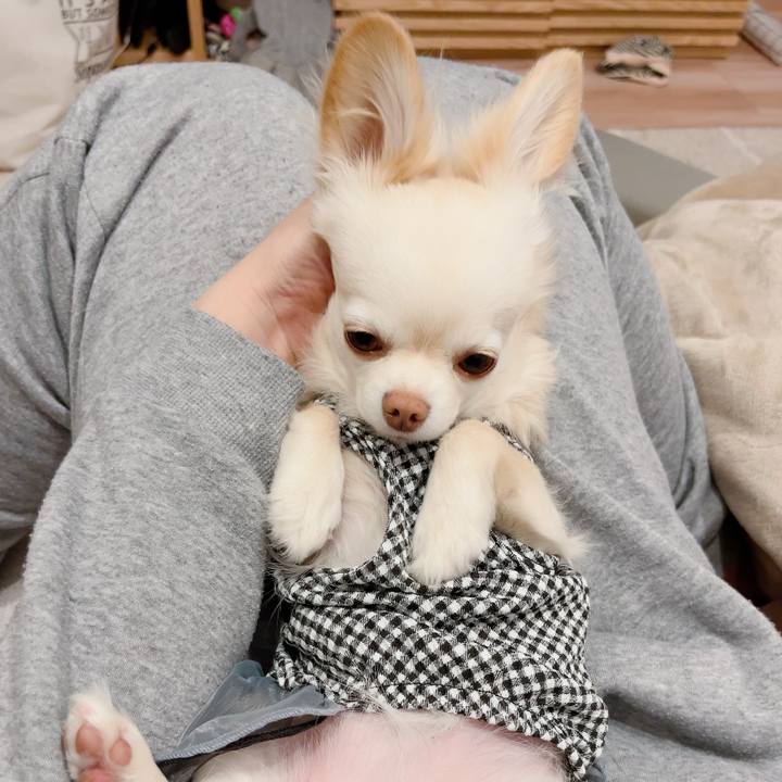 48469e3e ad01 42b9 bd6e 704200b022db 1706270673996