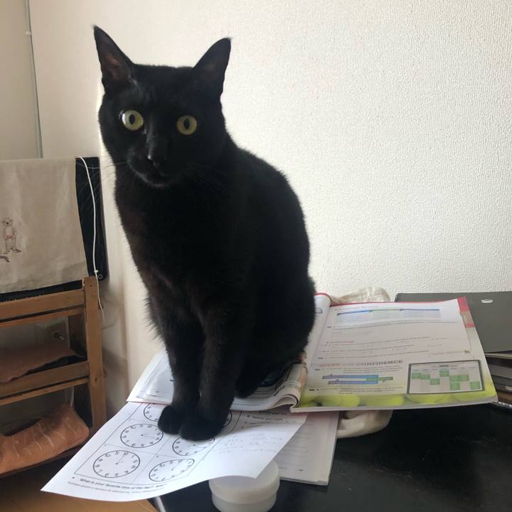 4846d4a2 22b3 43e4 9fb1 e72113eae395 1576371022517