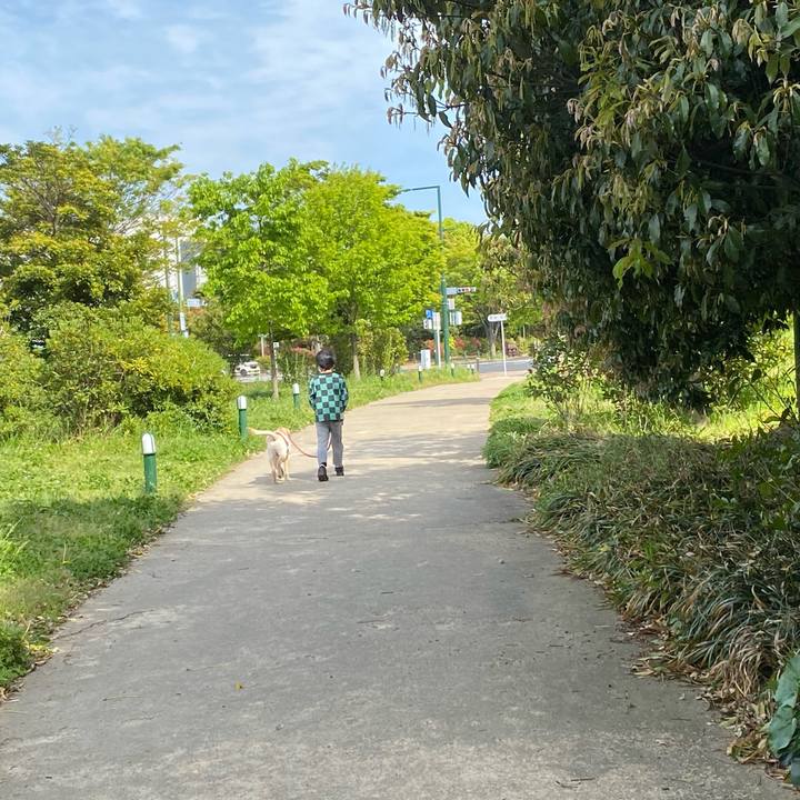 4847254d 6cfc 4095 9a20 86ad0448183e 1618192142325