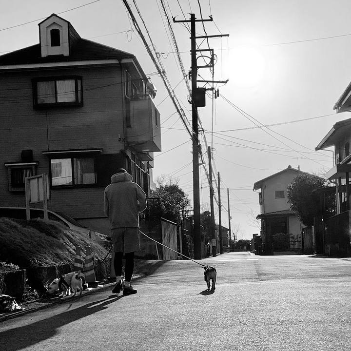 484732f5 6fb8 4b04 8d28 d77cc07062f7 1552085344635