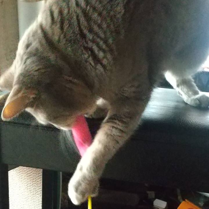 48473a96 474f 4ac5 b633 7ef6340f2ea3 1683444013442