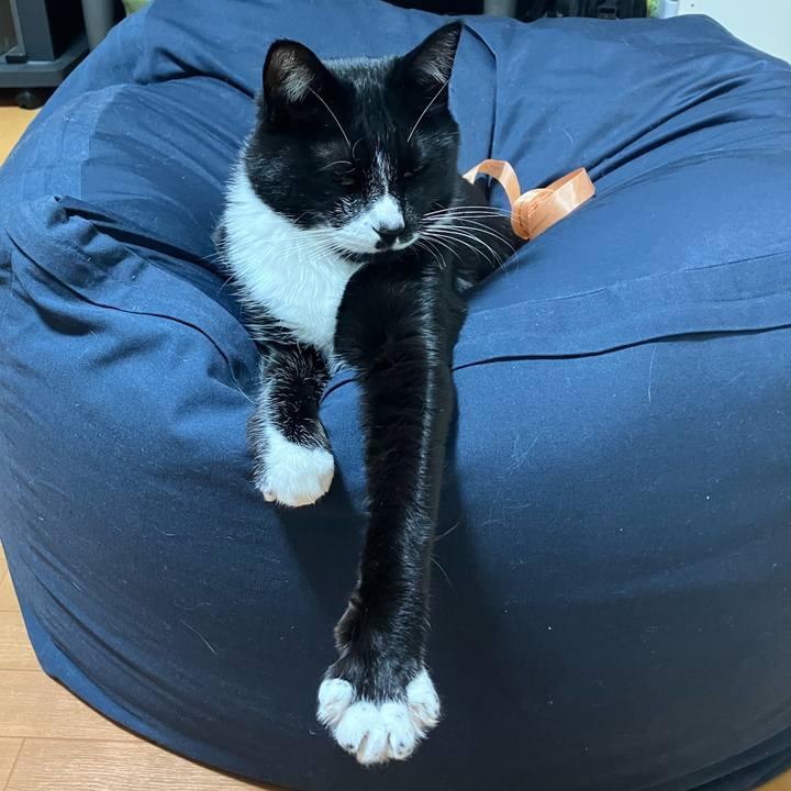 48476ccd 9d70 4854 9223 4bbbab84468e 1672806117158