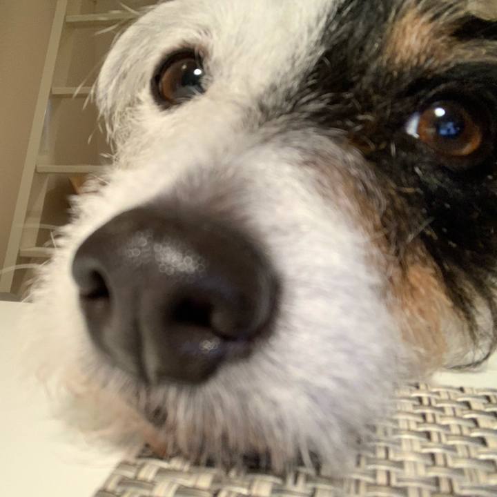 4847784a 4855 4516 b1c4 d581d3a22a82 1617789610930