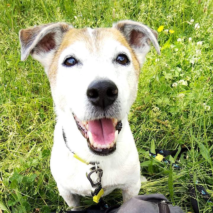 4847d083 76ee 46e9 b838 7049f98e371a 1558251471624