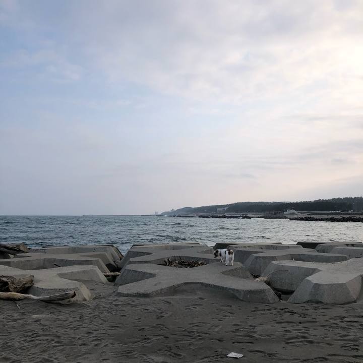 4847f4d7 1699 4fa2 875a e86907889198 1581724520035