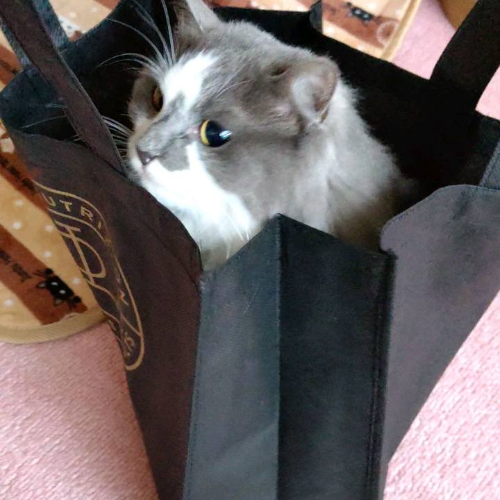 484807df 43de 43ba 9055 9f533e9e9b4c 1615889175901