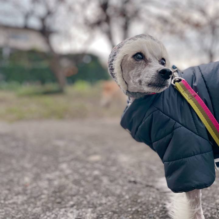 48481b52 11e1 4f70 a1c7 47dfe018ea66 1763453971396