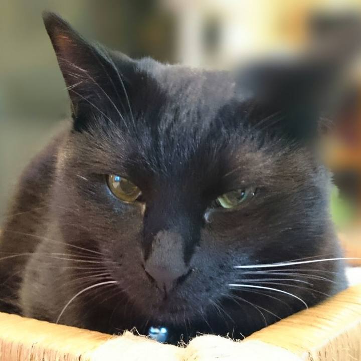 48484f5a de45 4fd1 8dc6 fca89d35cff5 1511870941193